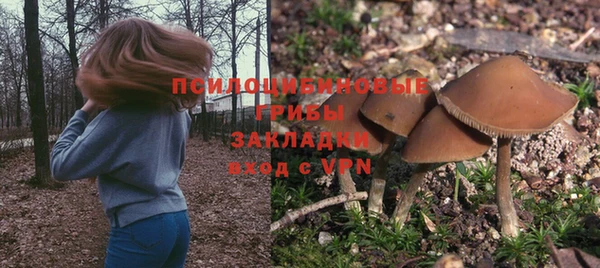 скорость Бородино