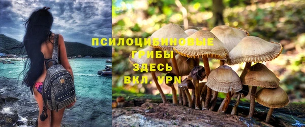 стафф Бугульма