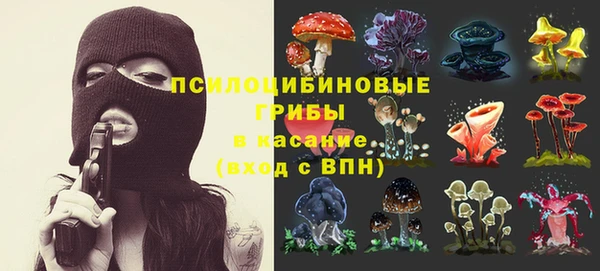 стафф Бугульма