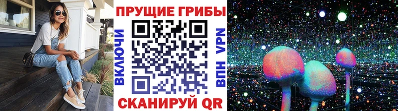 MEGA зеркало  Владимир  Галлюциногенные грибы мухоморы 